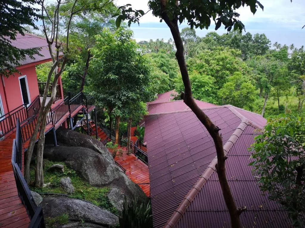 PawPaw Resort - photo 14