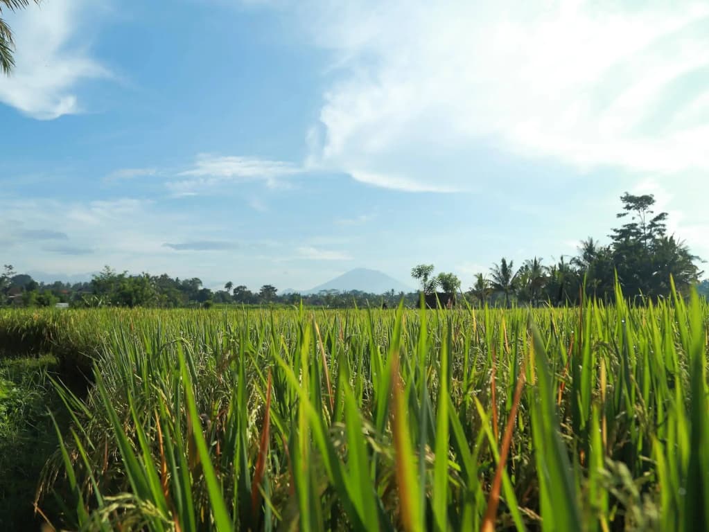 Samkhya Villas - photo 19