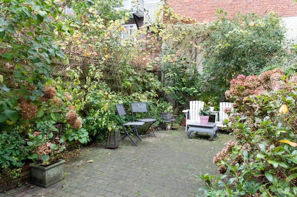 Sunlight Charm Apartment - photo 6
