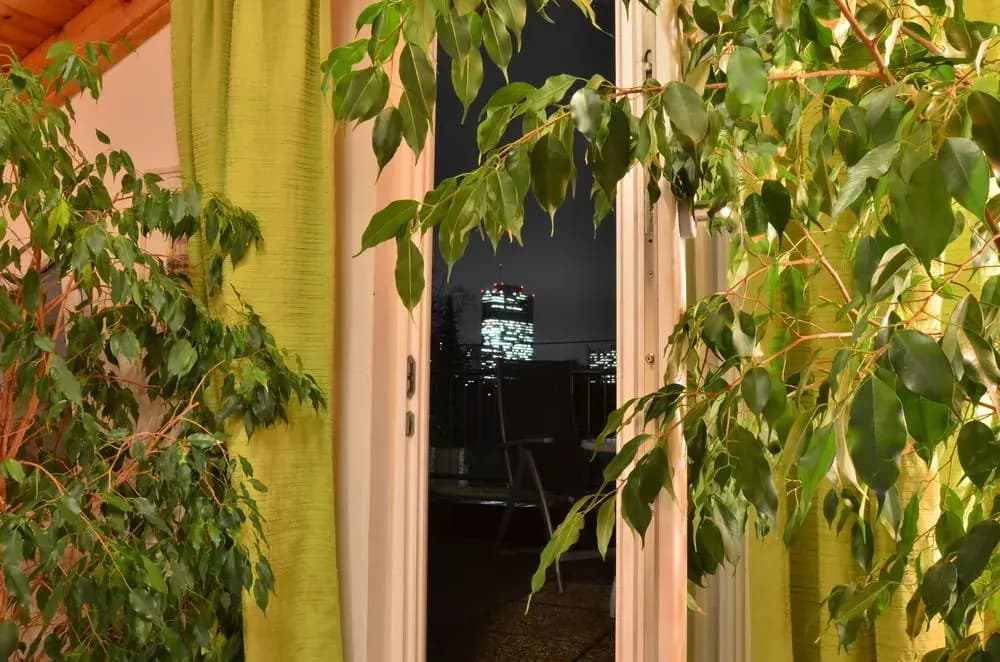 AJO Terrace Vienna - photo 10