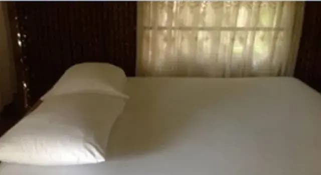 Phangan River Sand Resort Baan Khai - photo 2