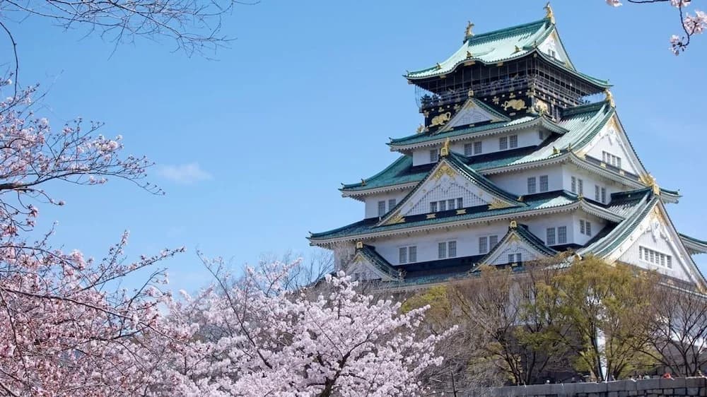World Inn Taisho - photo 2