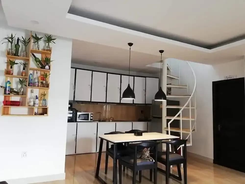 Cat's Hostel - photo 15