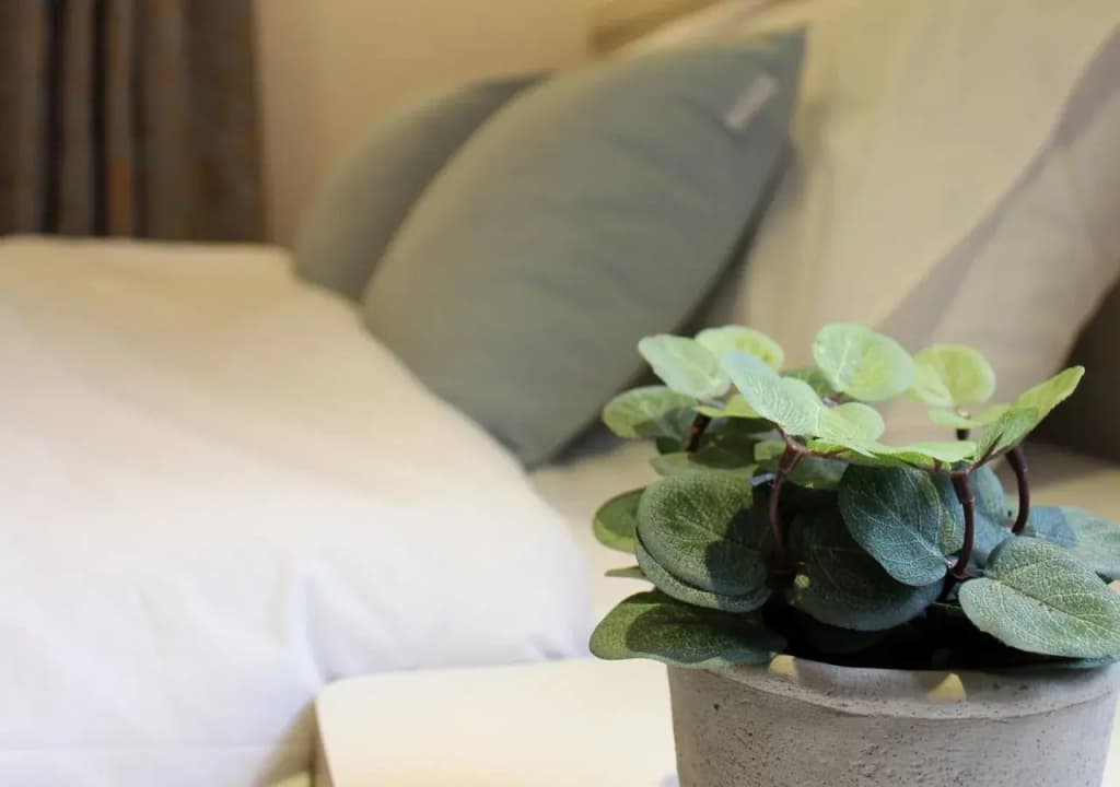 The Mei Forestvill Dongdaemun - photo 22