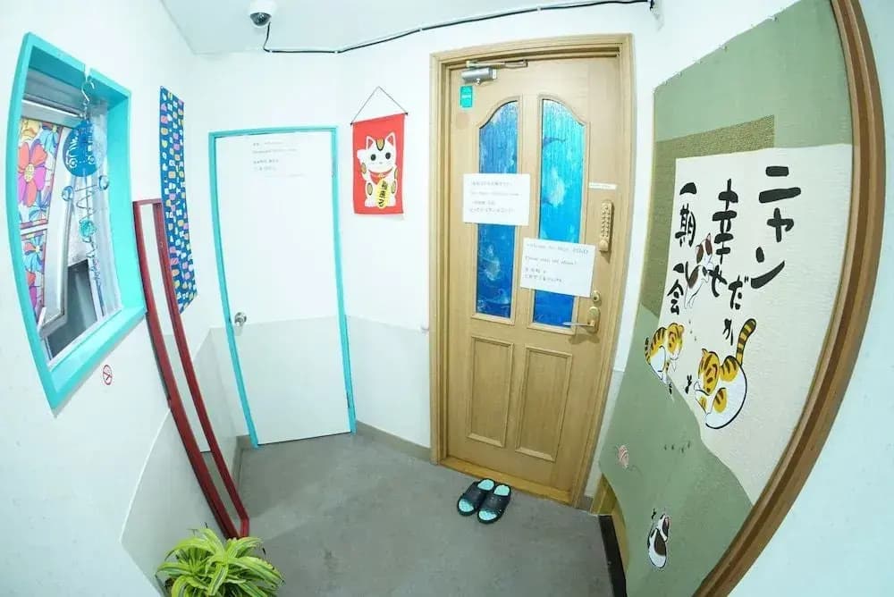stay PIKO - photo 11