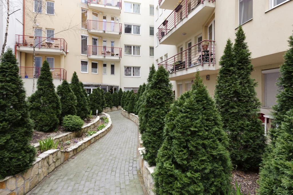 Central Passage Apartments by Vagabond - photo 1