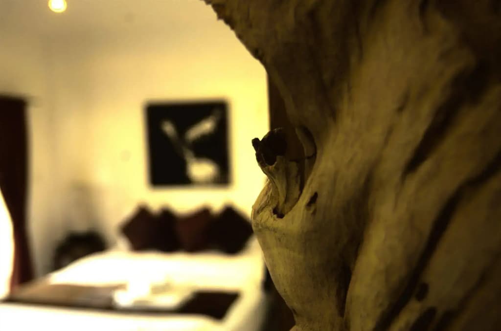 Cocooning Hotel - photo 9