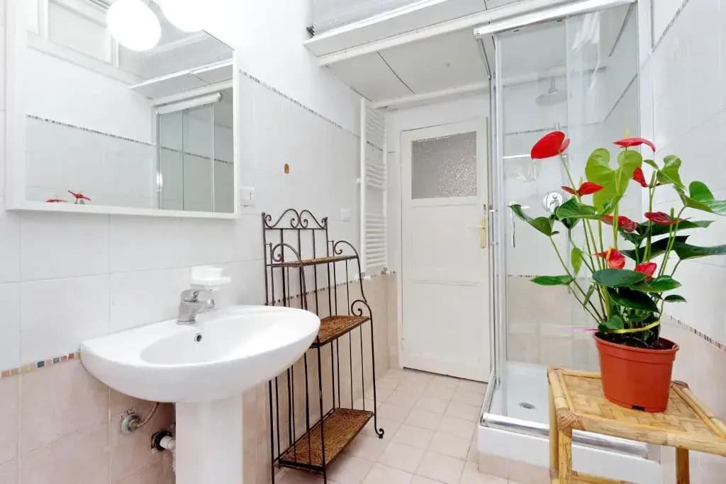Large flat 30min Colosseo - photo 7