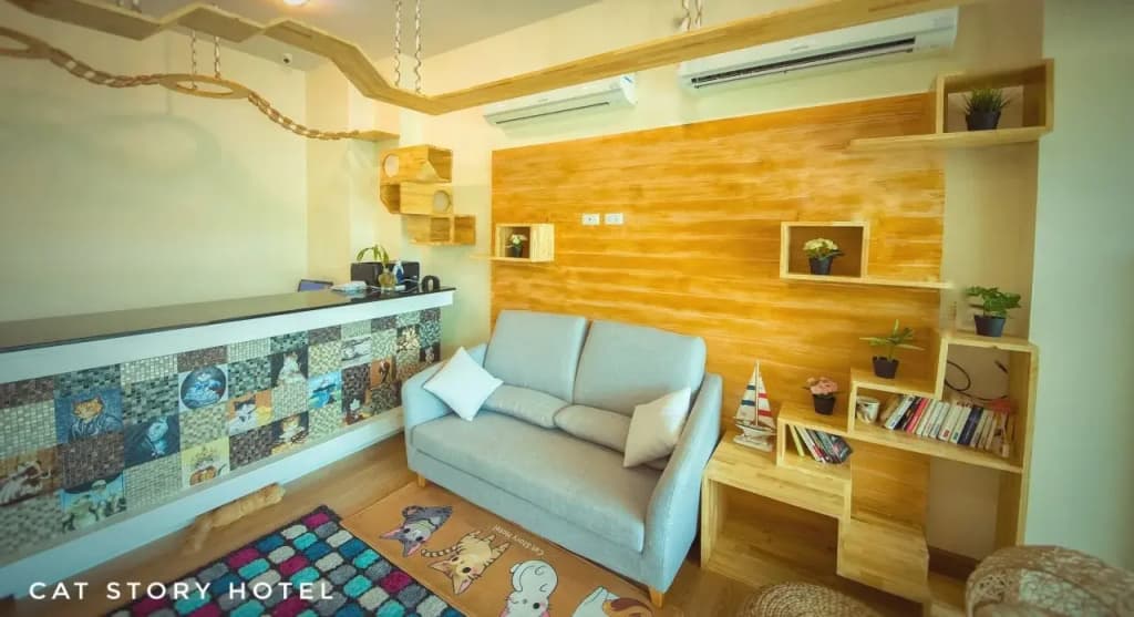 Cat Story Hotel - photo 8