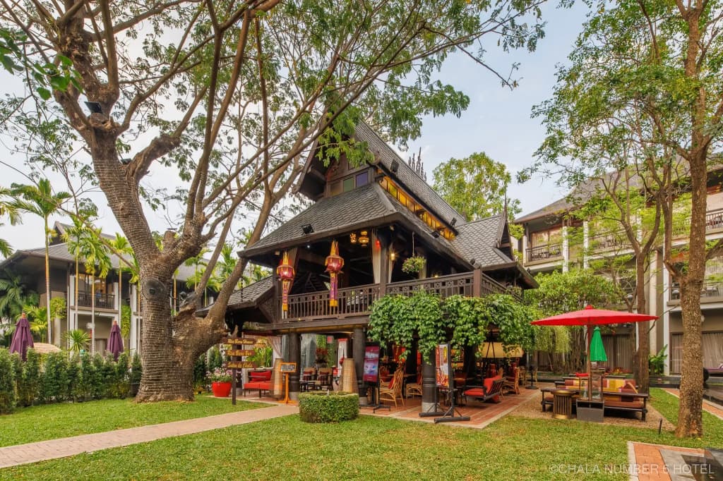 Chala Number 6 Hotel - photo 25