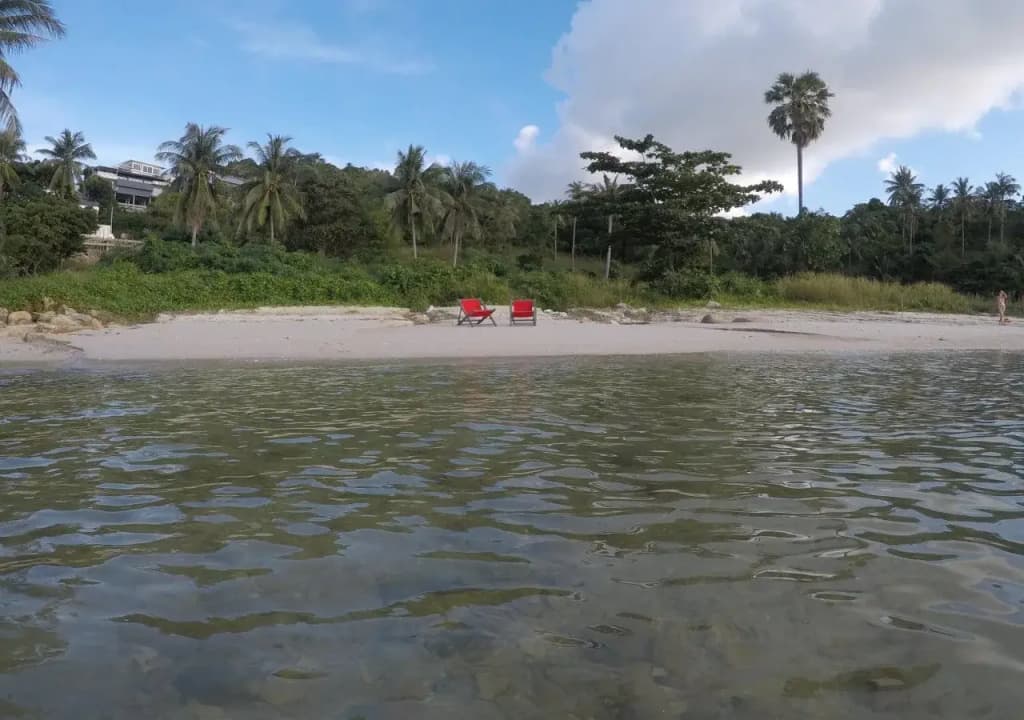 Dolphin Bay Beach Resort - photo 8