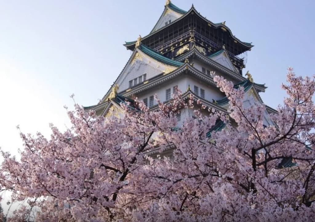 YADOKARI 难波旅舍(Yadokari Namba Hostel) - photo 18