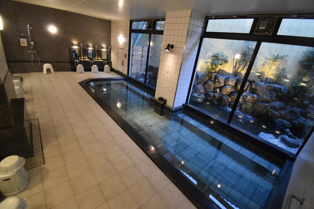 Saga Grace Hotel - photo 10