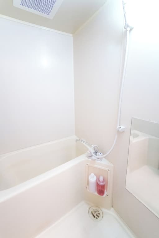 Kobayashi Building 302 - photo 9