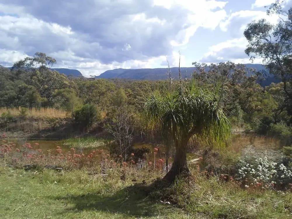 Sunsetcottages - photo 11