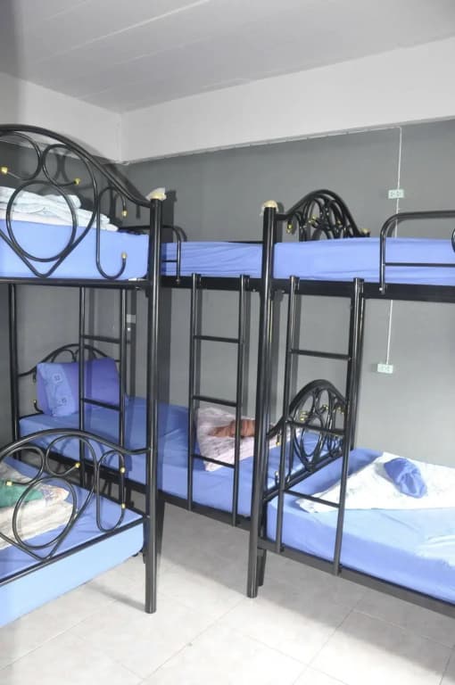 S&C Hostel - photo 7