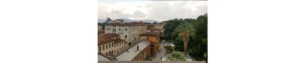 Flor in Florence - photo 15