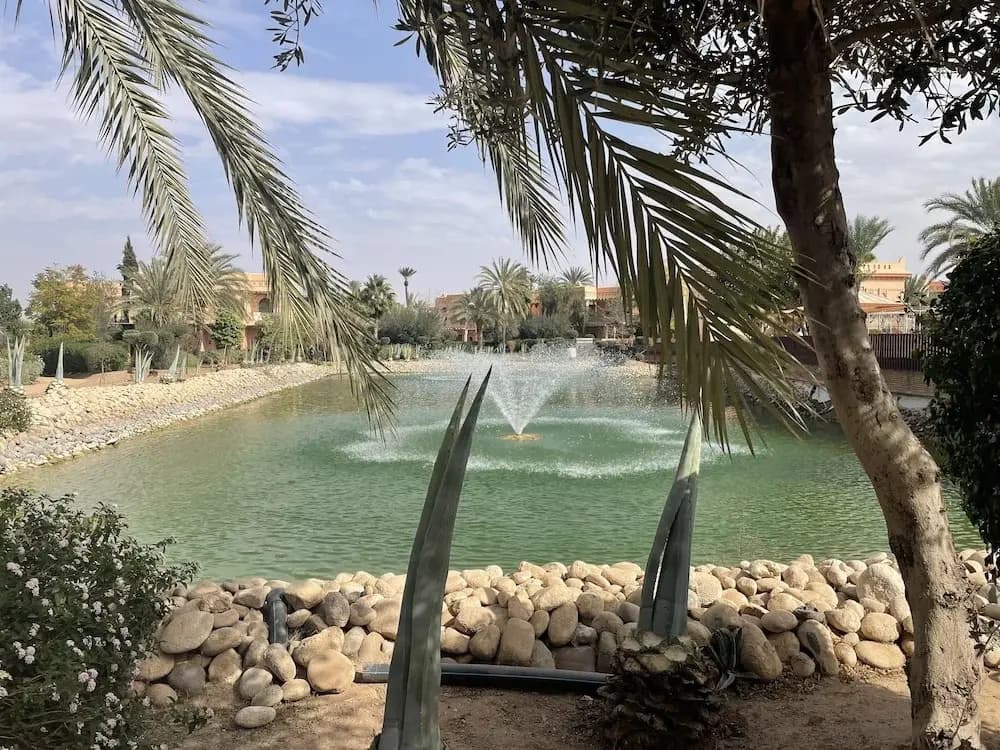 Au Coeur De La Palmeraie De Marrakech - photo 18