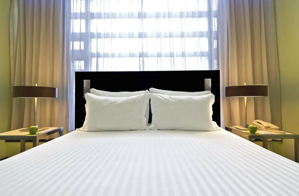 SANA Capitol Hotel - photo 5