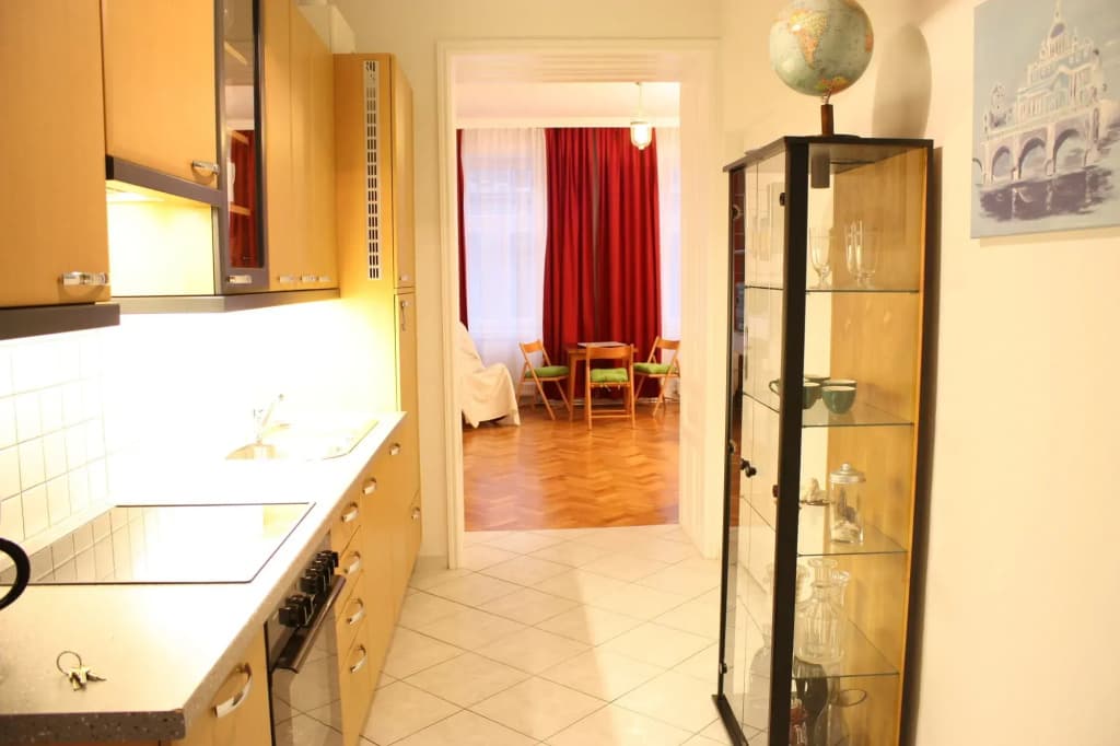 GoVienna Homelike City Apartment - photo 3