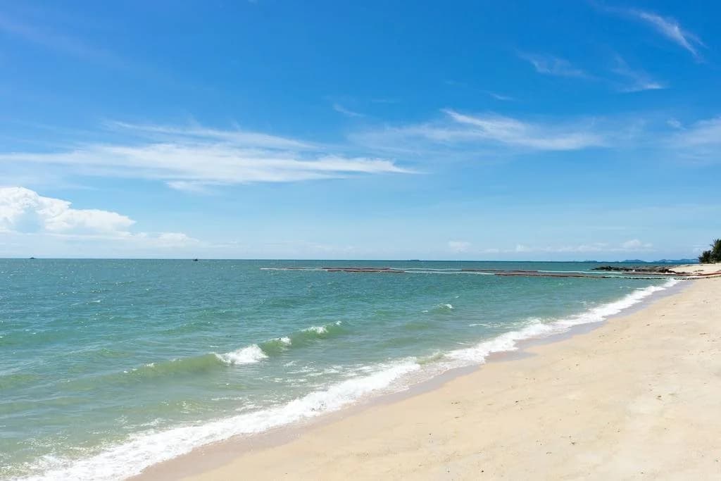 Paradise Ocean View - photo 11