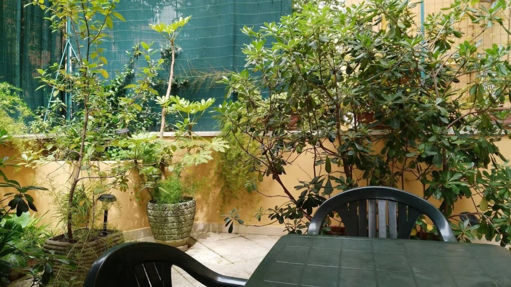 Trionfal Apartment - photo 15