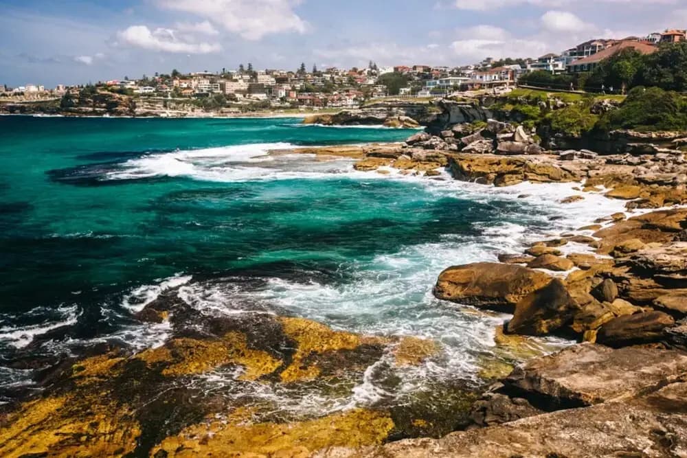 Ultimate Bondi Living - photo 10