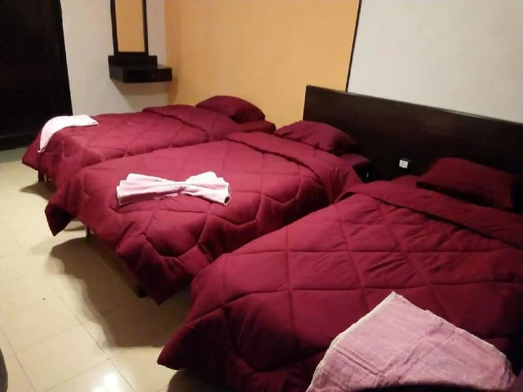 Oasis Hostel - main photo