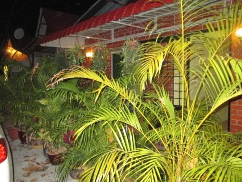 Cenang Impiana Inn - photo 12