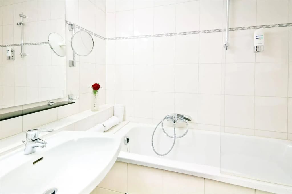 Hotel Viktoria Schönbrunn - photo 8