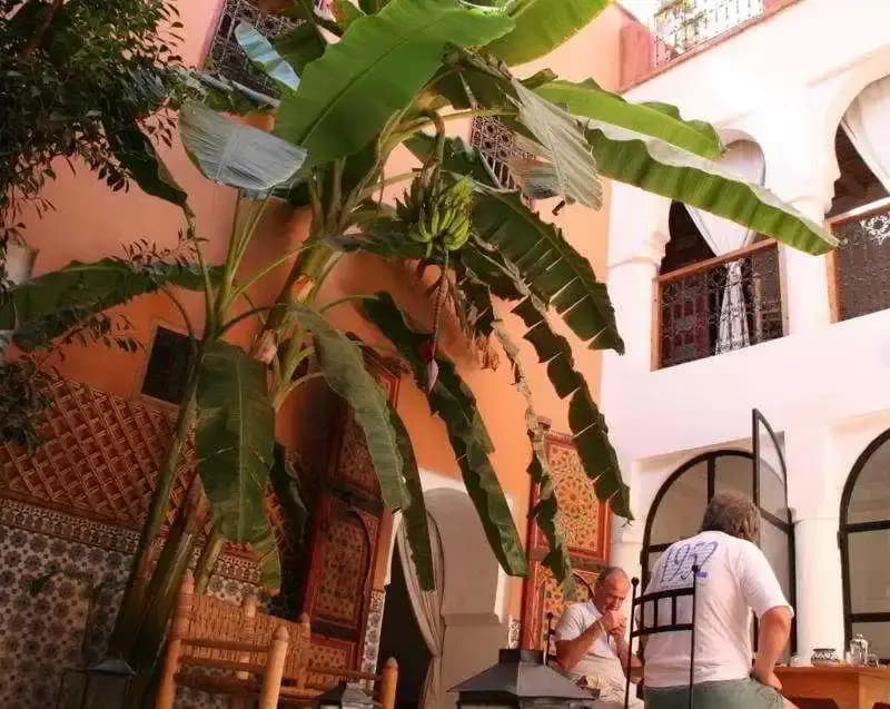 Riad Ineslisa - photo 20
