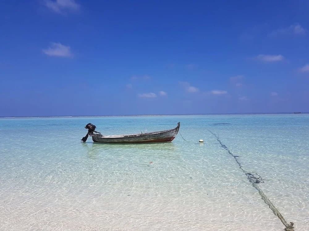 Thoddoo Beach Holiday Inn - photo 27