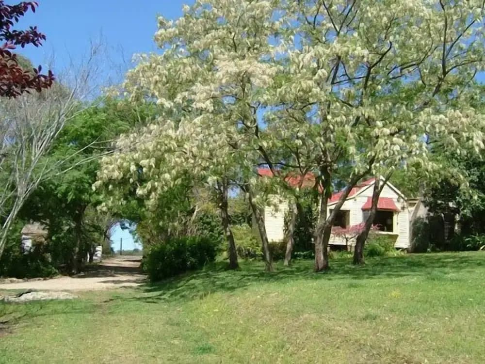 Hermitage Cottage - photo 13