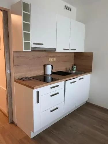 Apartment David O2 Arena Prague - photo 16