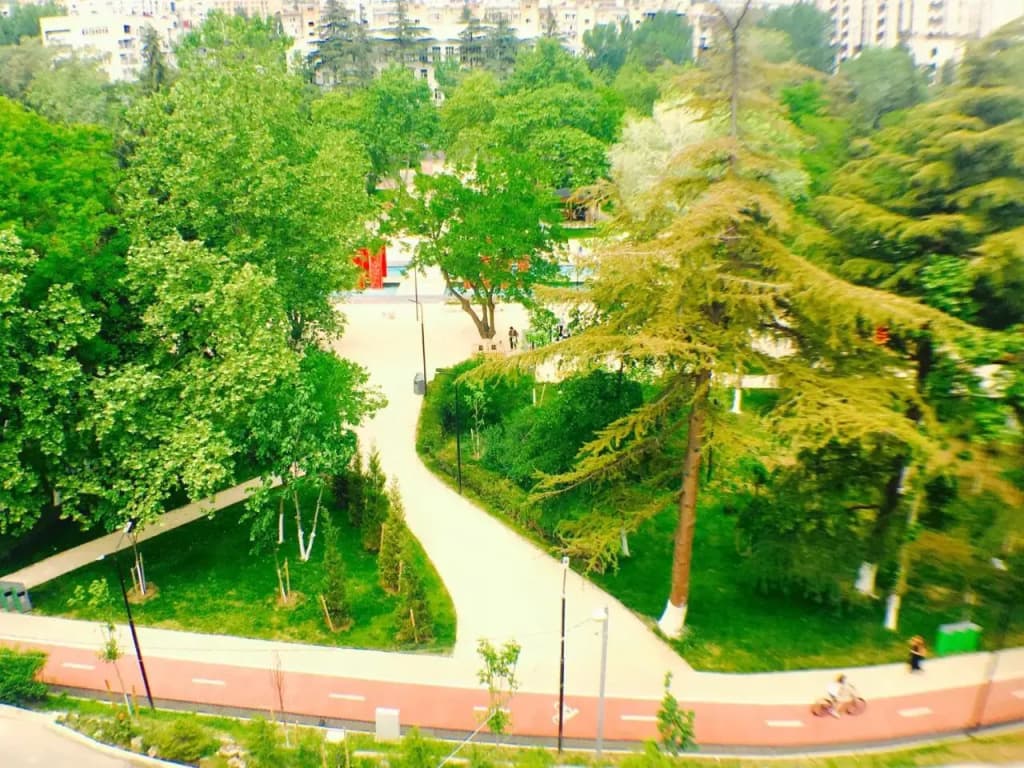 Villa Garden - photo 41