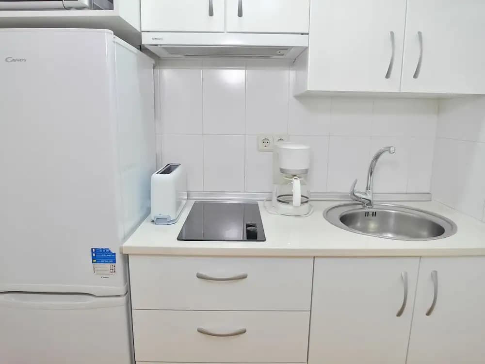 Apartamentos Escultor Madrid - photo 12