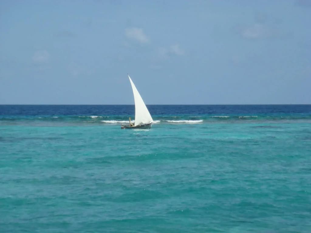 Lvis Boutique Hotel - photo 11