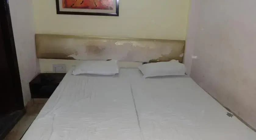 Priyanka Guest House - photo 3