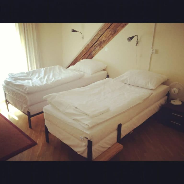Hostel Mango - photo 3