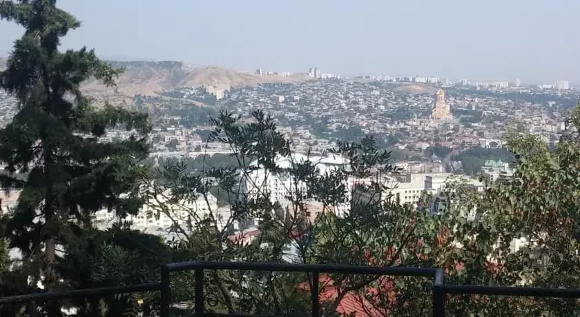Asteria Guesthouse - photo 7