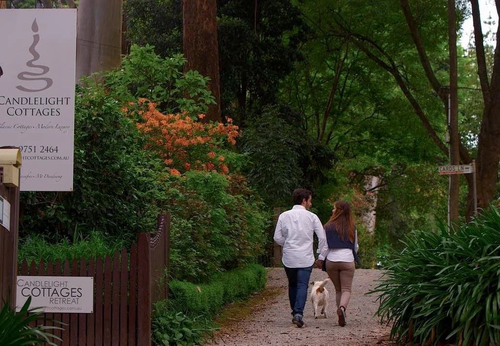 Twilight Cottage - photo 13