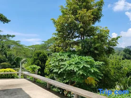 The Green Cloud Sandakan - photo 5