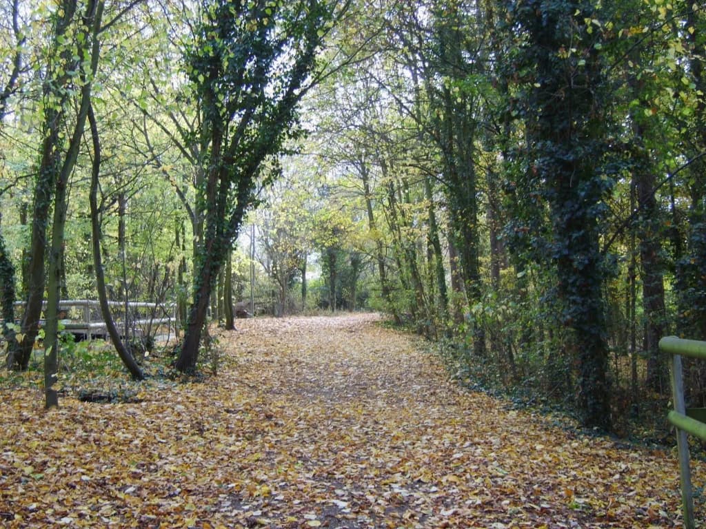 Gilwell Park - photo 15