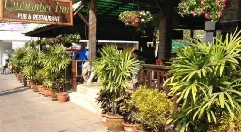 Cucumber Inn Suites - photo 14