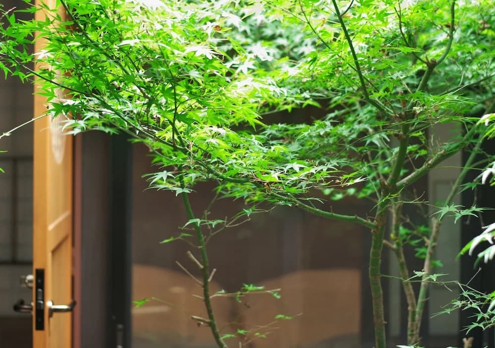 Takeya Kitano Honkan - photo 22