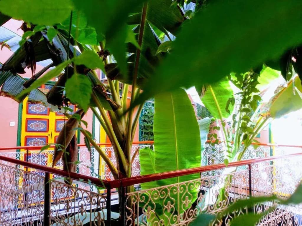 Riad Espagne - photo 10