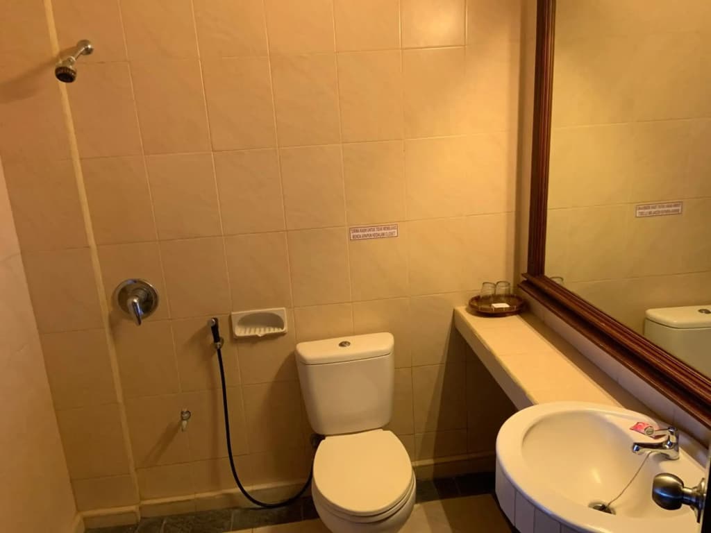 Nirwana Hotel Suites - photo 7