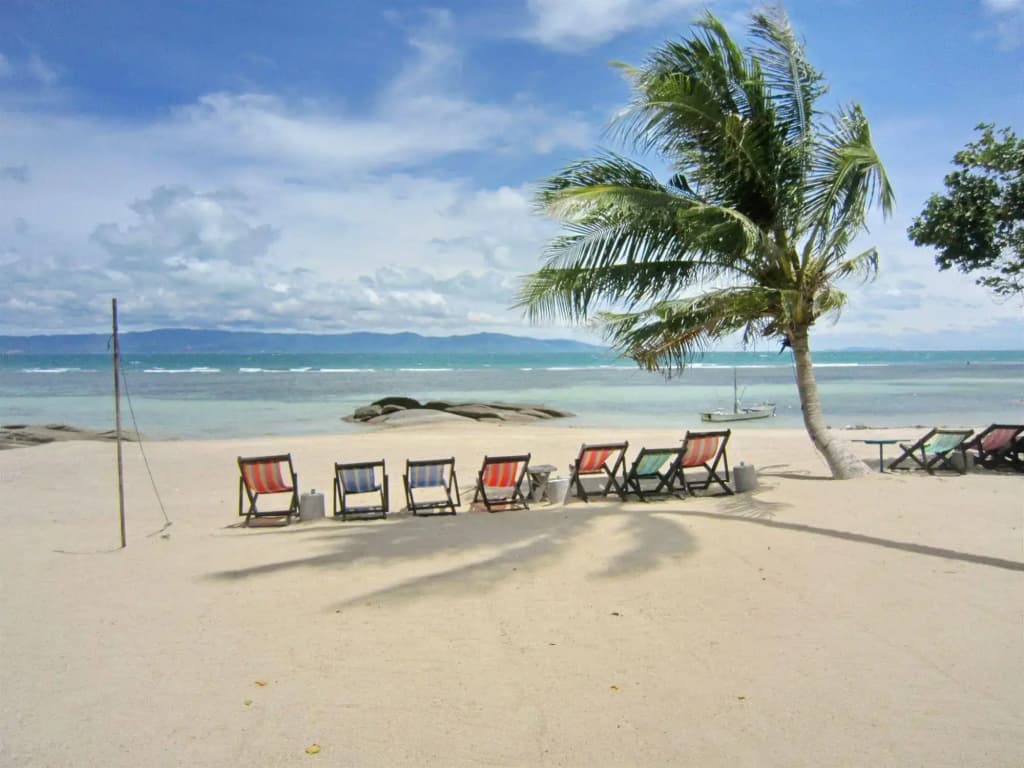 Thaniza Beachfront Resort - photo 15