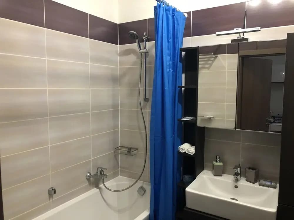 DeLuxe Apartments - photo 8