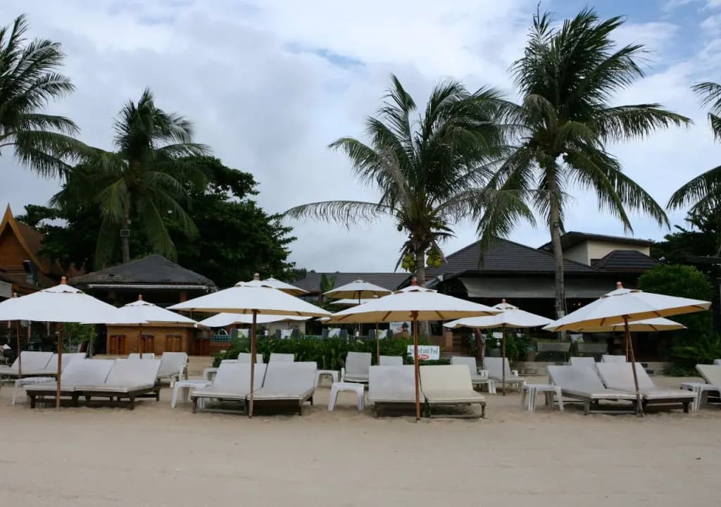 Samui Jasmine Resort - photo 22
